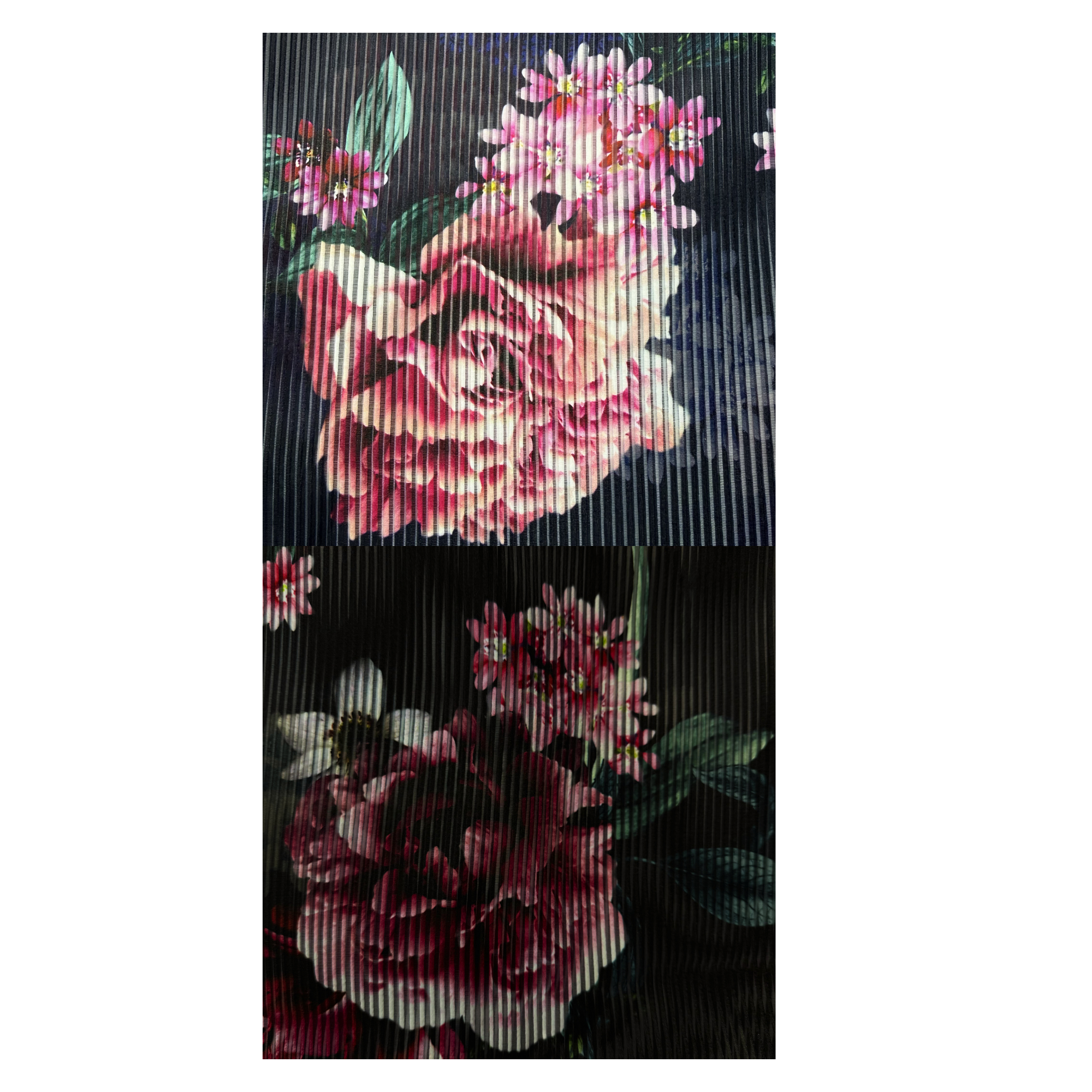 Burnout Stripe – Navy and Black | SALEXM 91,92