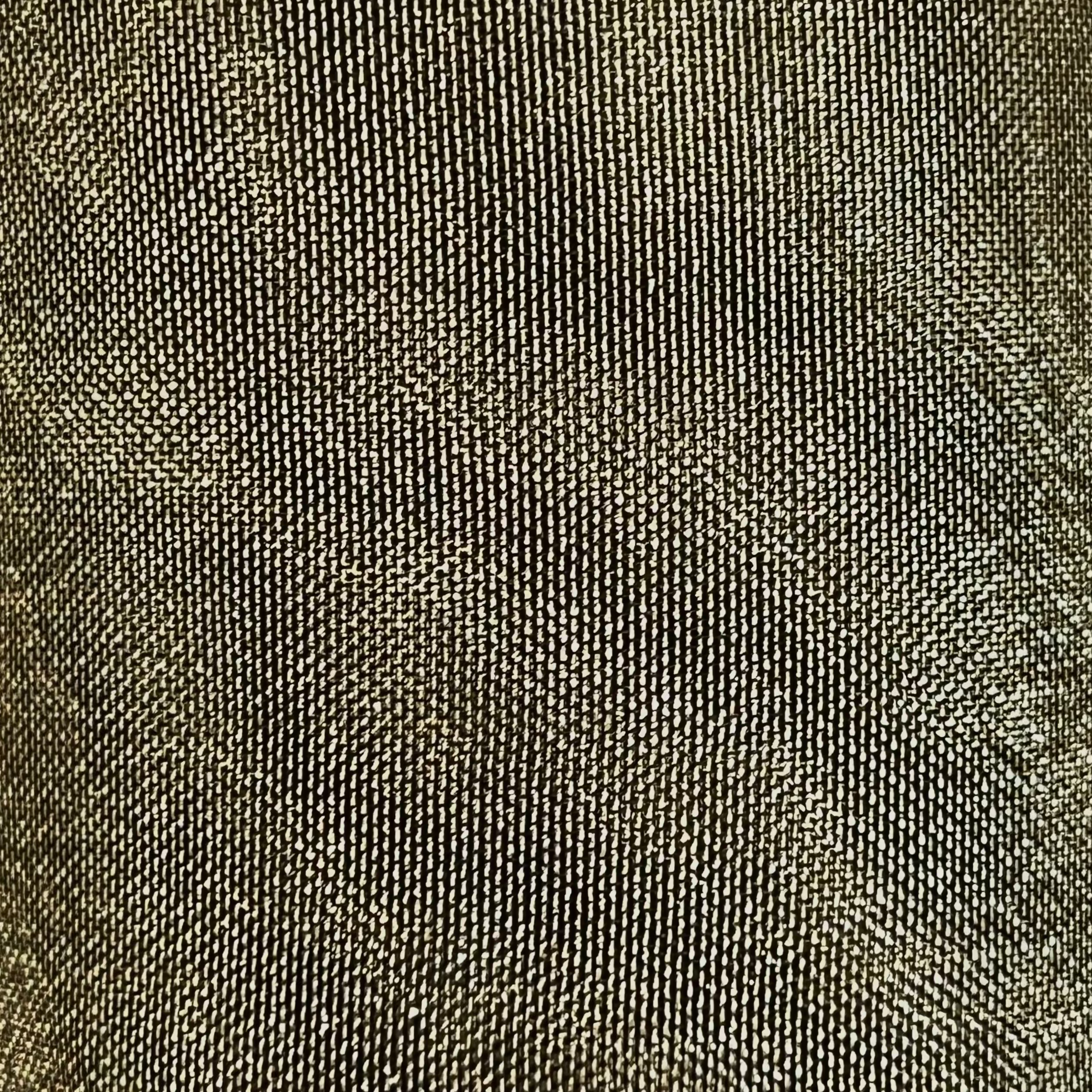 Metallic Organza Sheer Fabric for Dresses | AE031 AI/20071