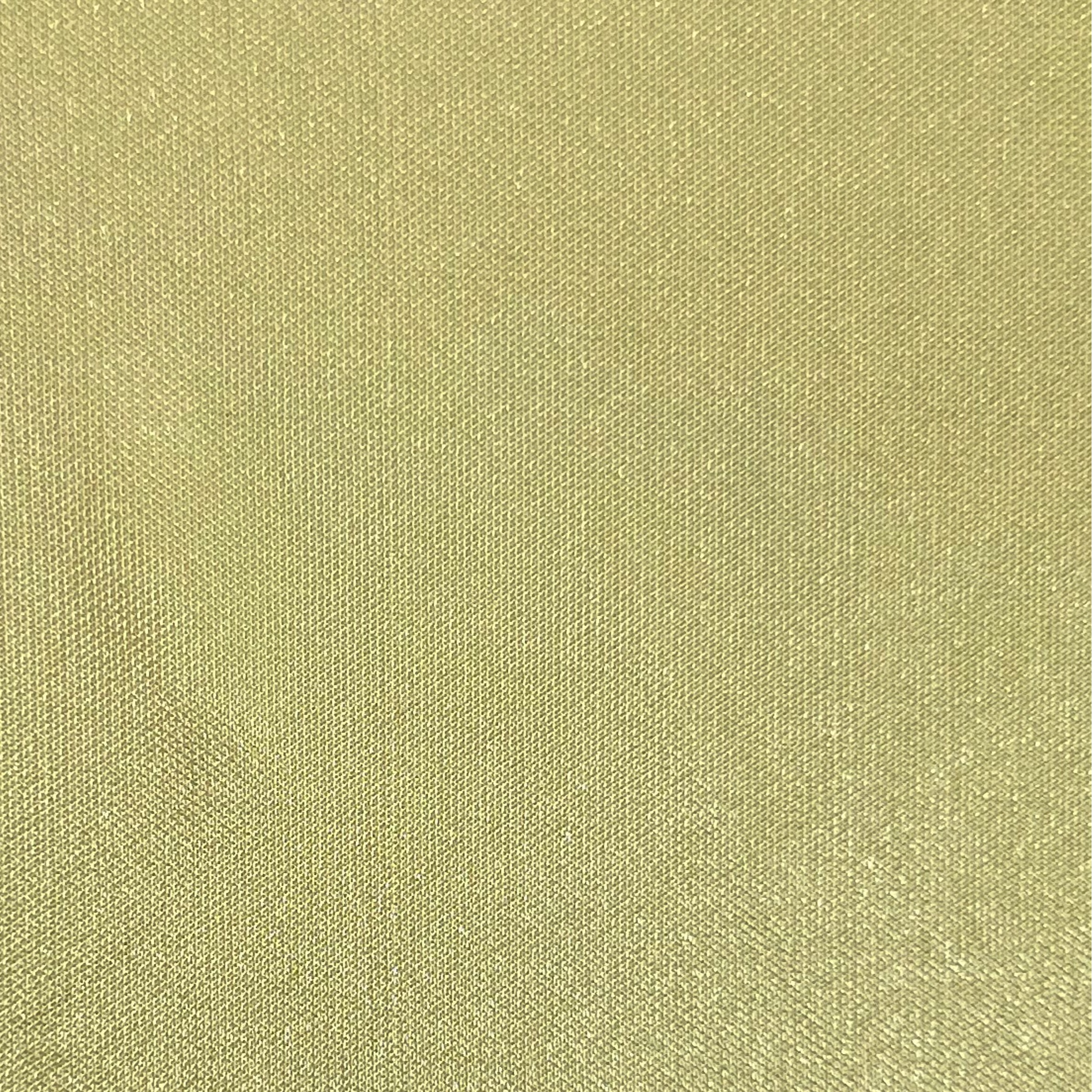 Polyester Satin Jersey Knitted fabric CHPB0006 K2816