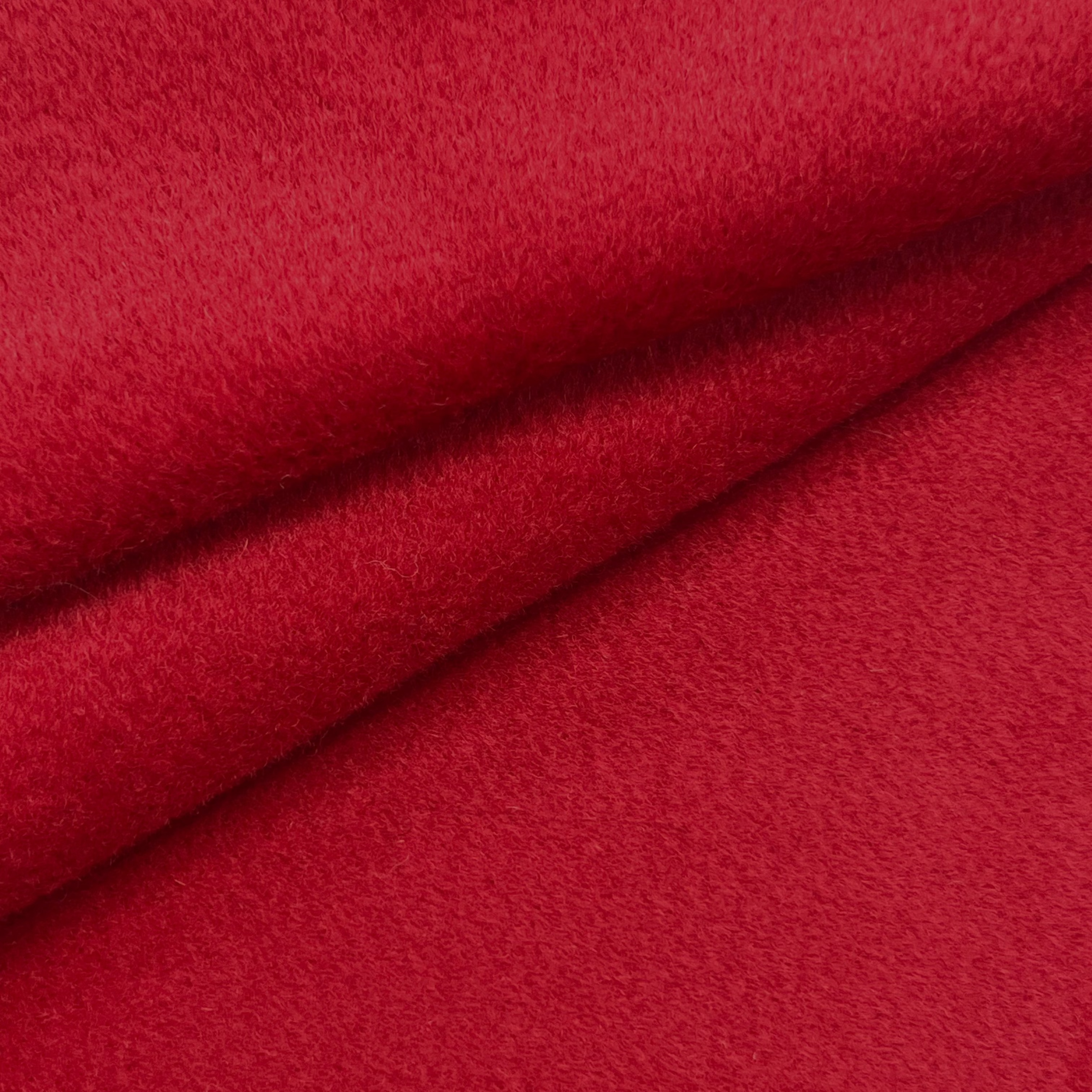 Luxurious Coating Fabric X229