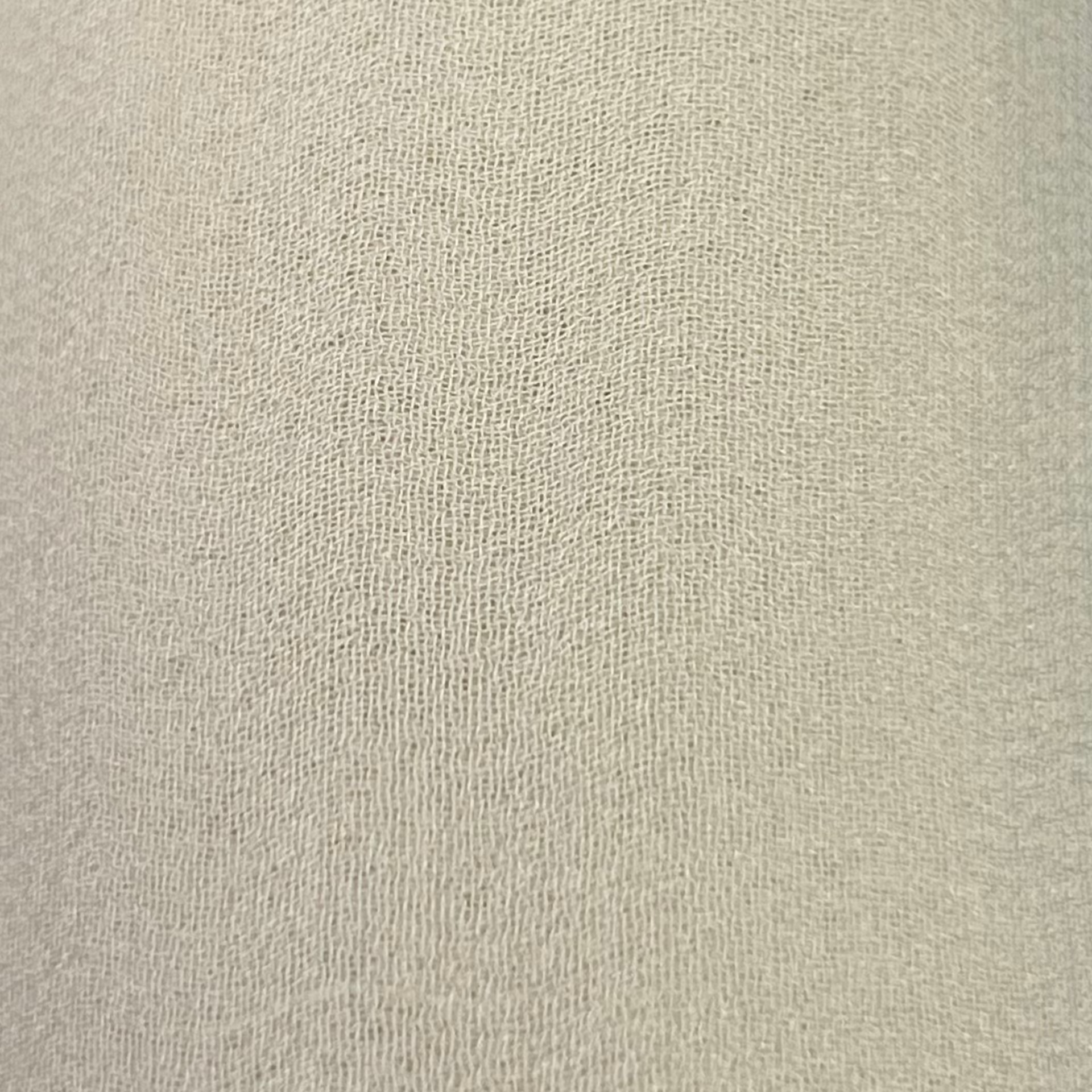 Silk Georgette RX243