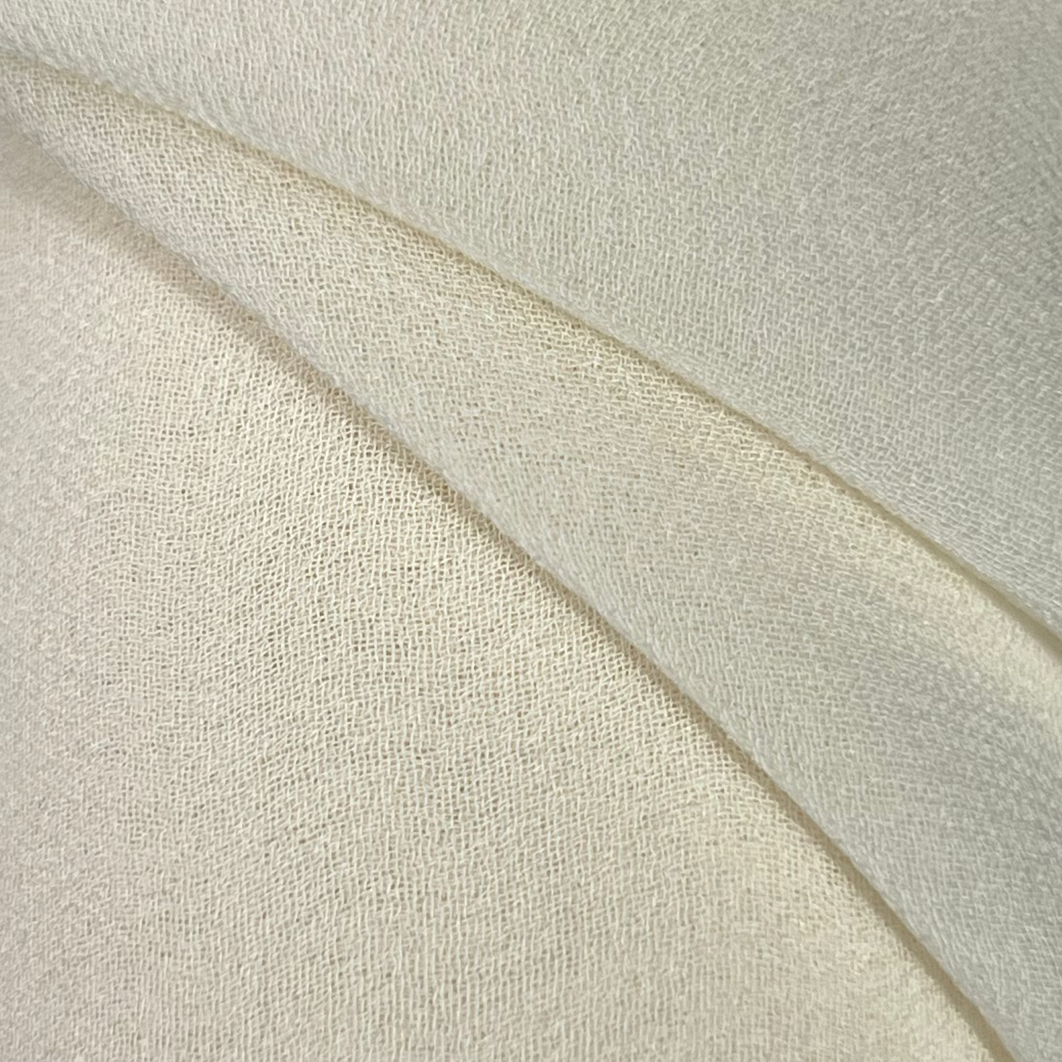 Silk Georgette RX243