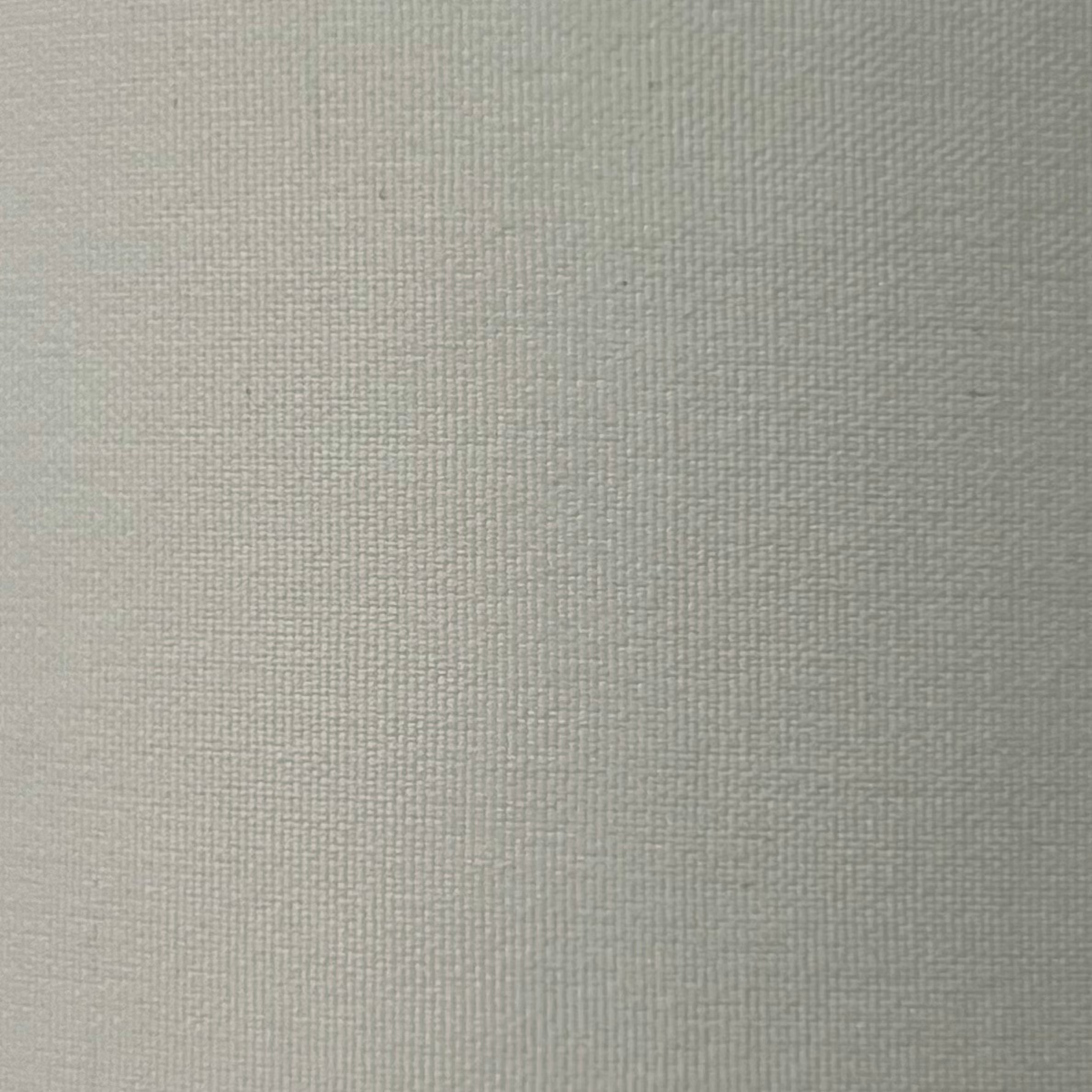 Spun Silk Fabric RX261