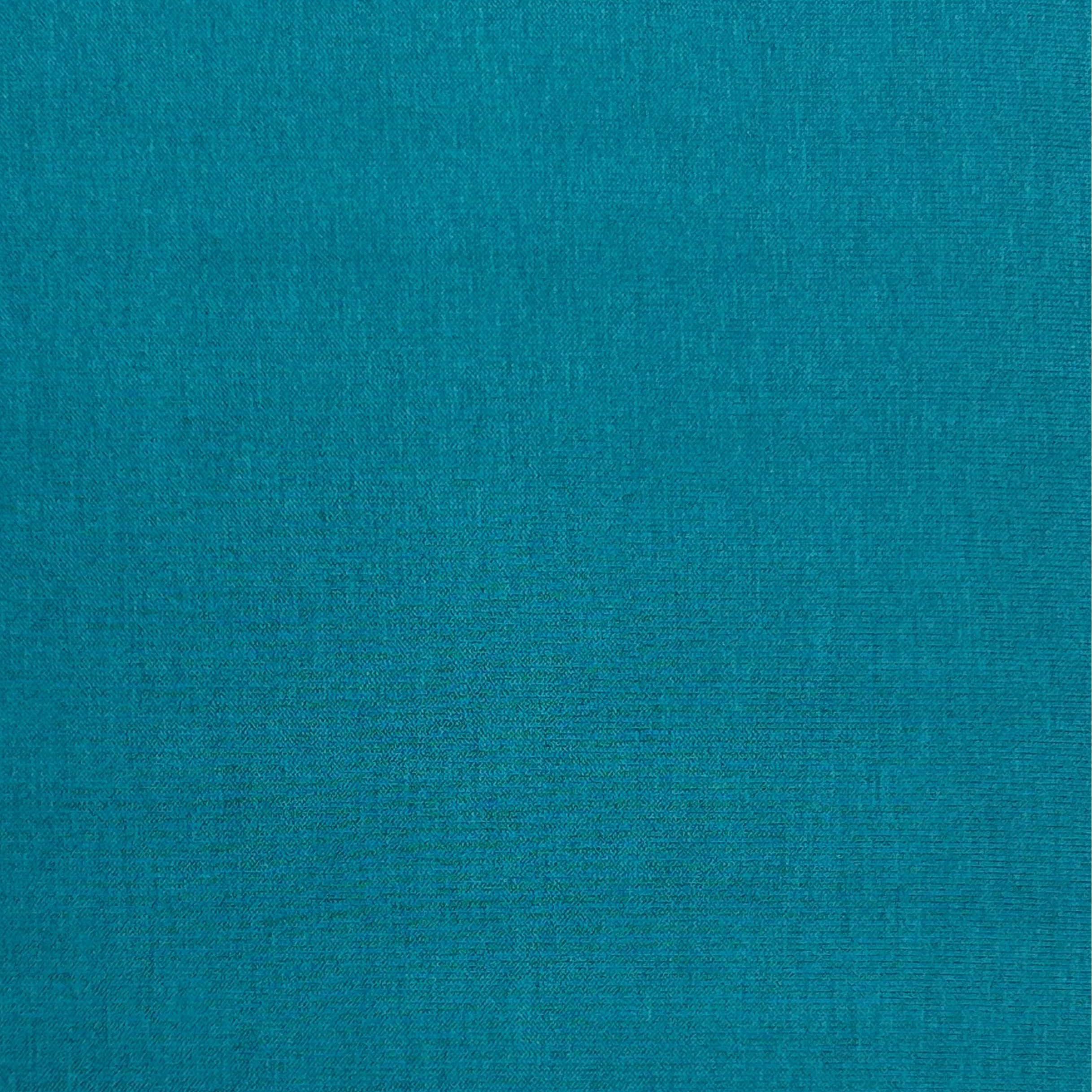 Viscose Jersey NB010 02194