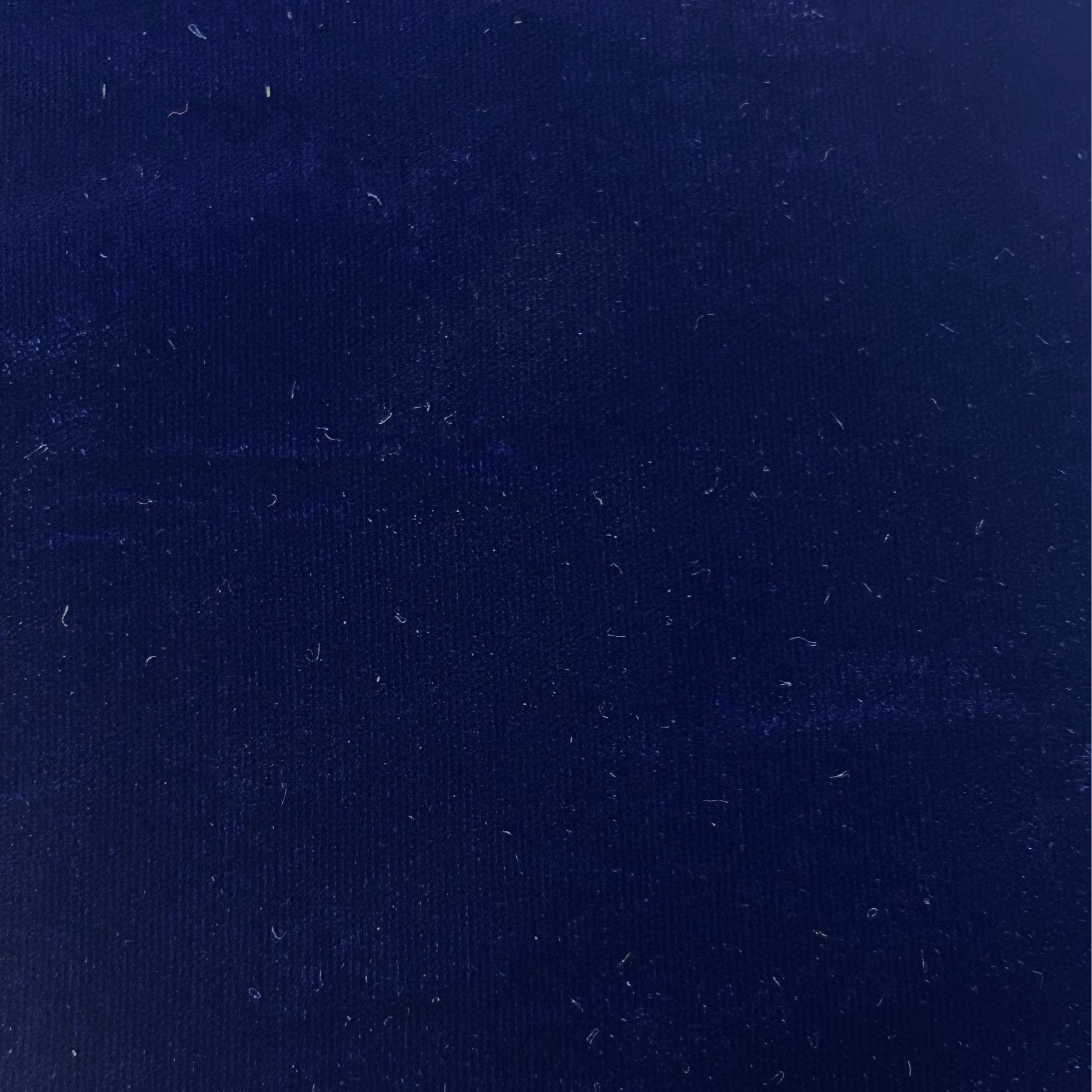 Velvet Fabric X025