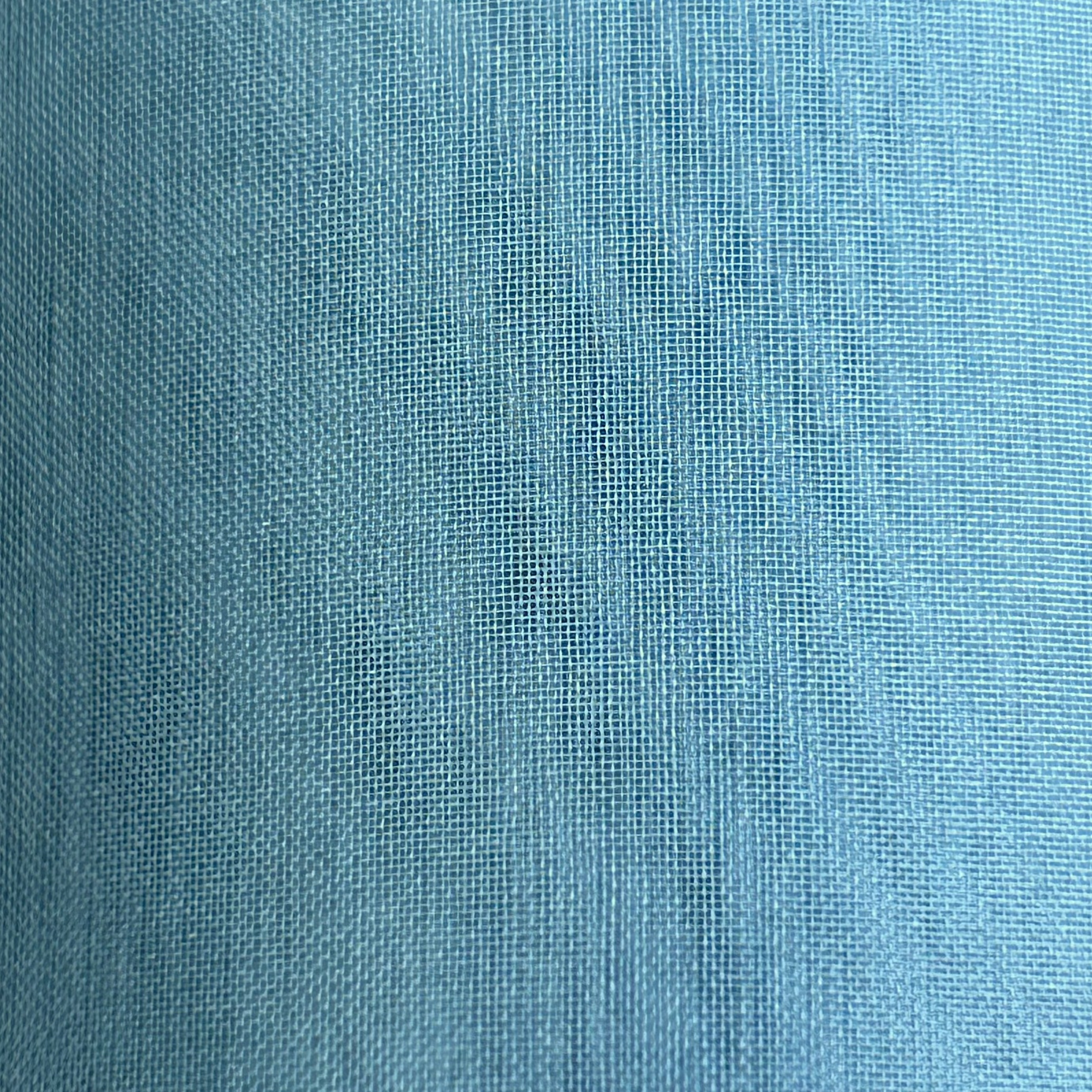 Silk Organza BS013 1501W