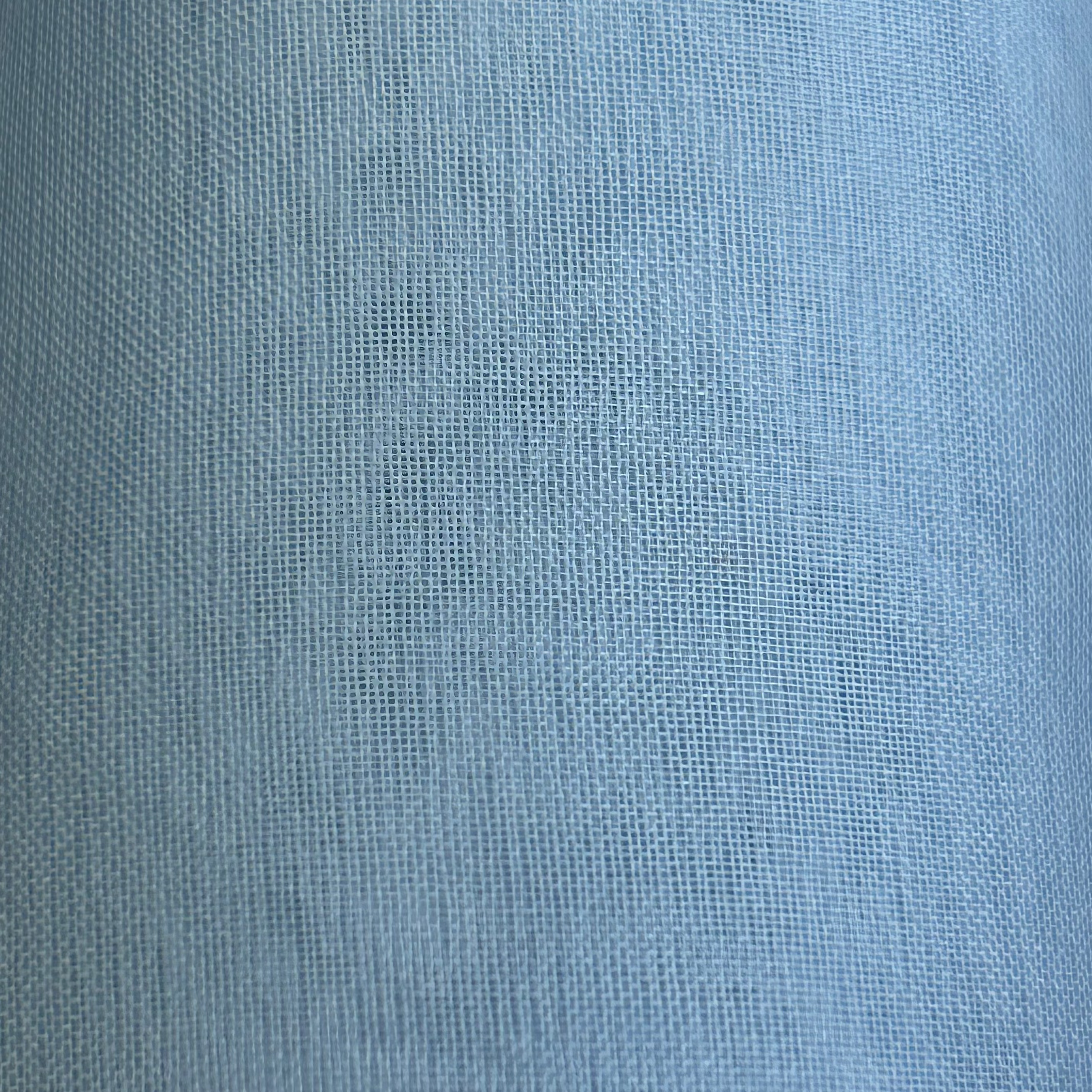 Silk Organza BEL006 1855