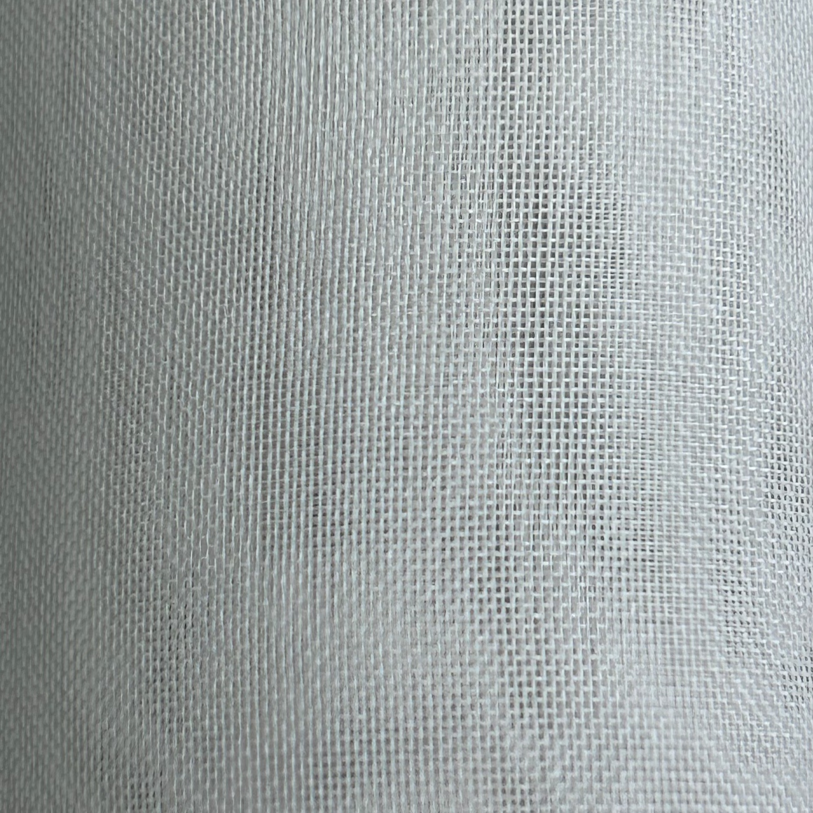 Silk Shot Organza BS014 1510W