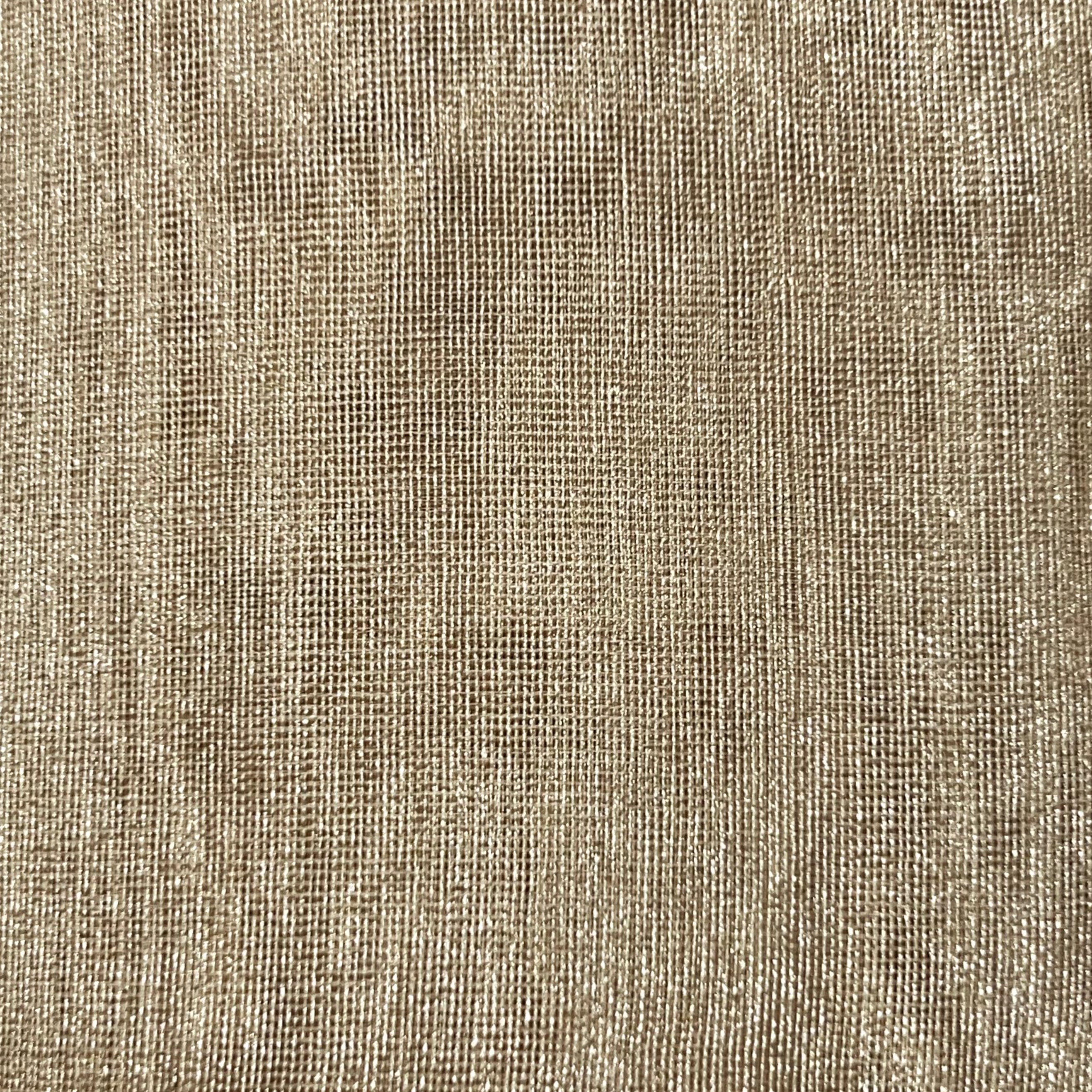 Metallic Organza Sheer Fabric for Gowns | AE026 AI/3138