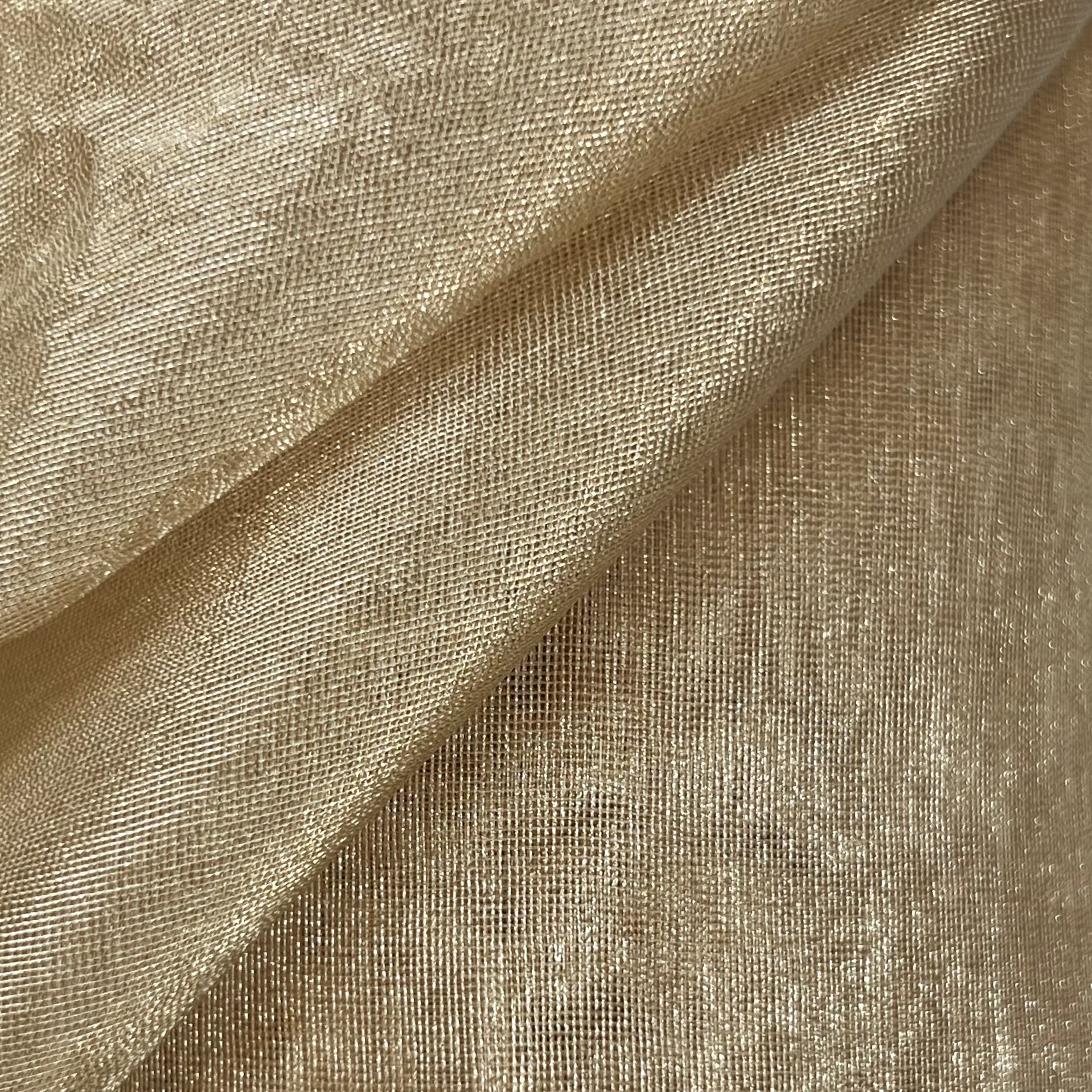 Metallic Organza Sheer Fabric for Gowns | AE026 AI/3138