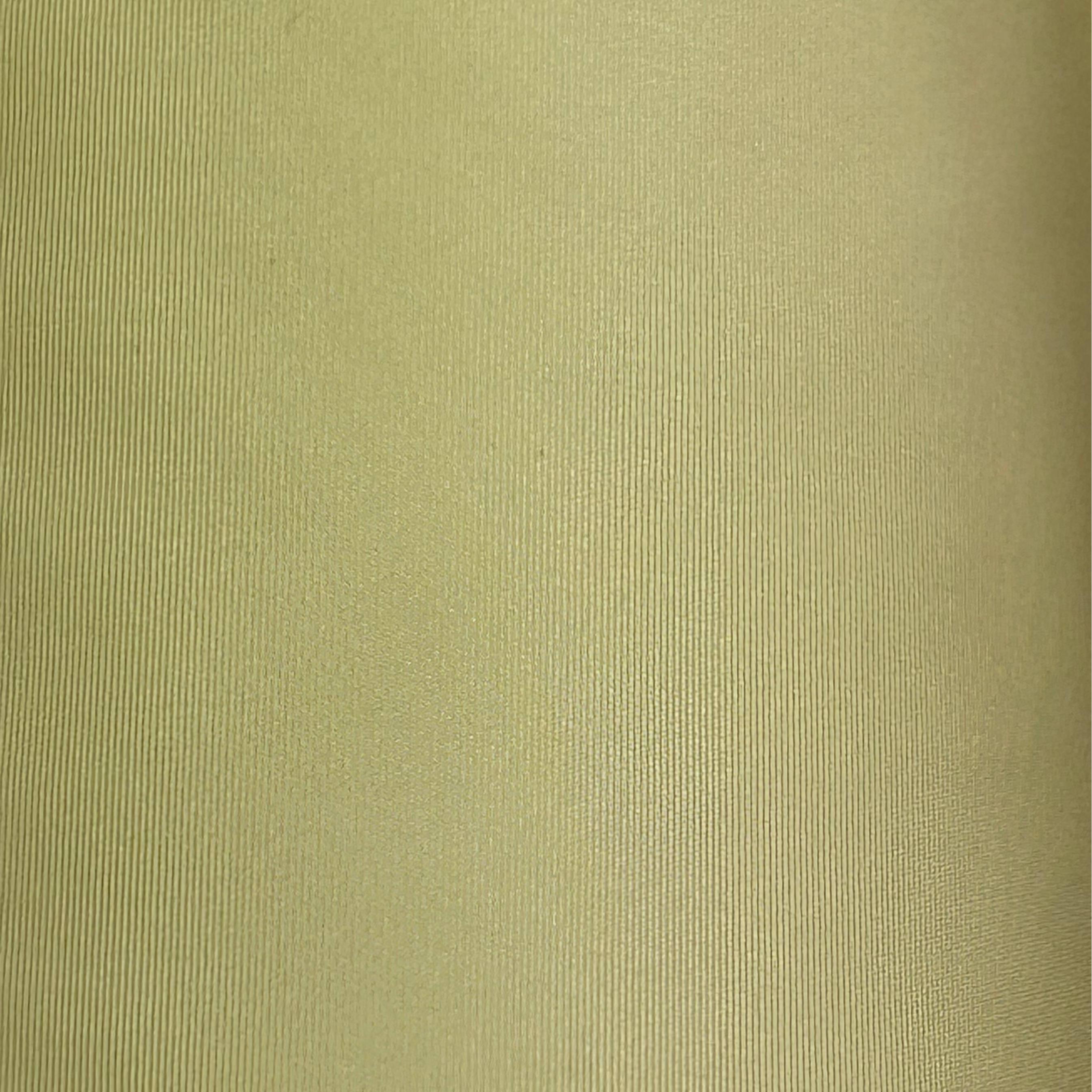 Waterproof Rain Coat/Trench Coat Fabric XIT004