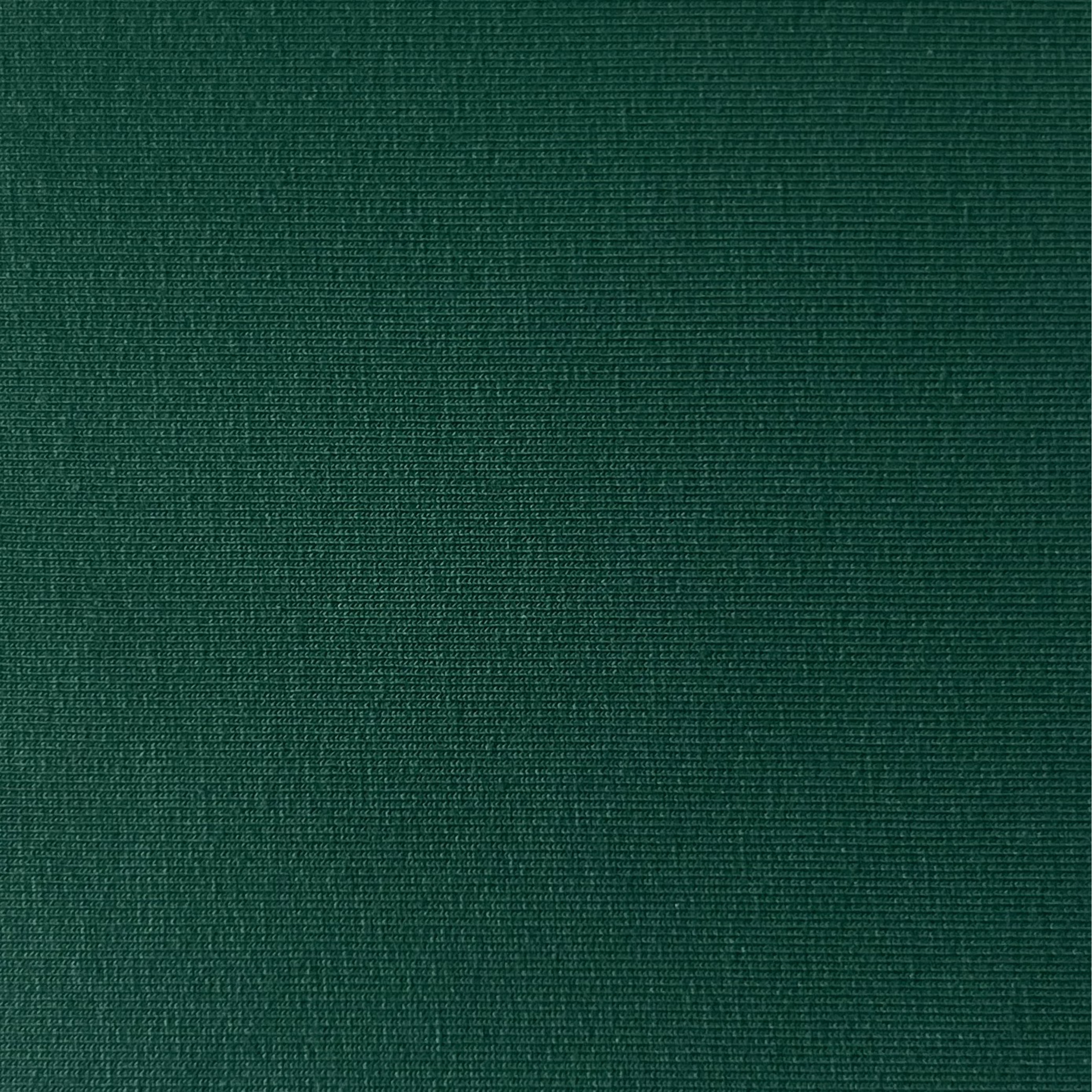 Cotton Jersey NB002 02775