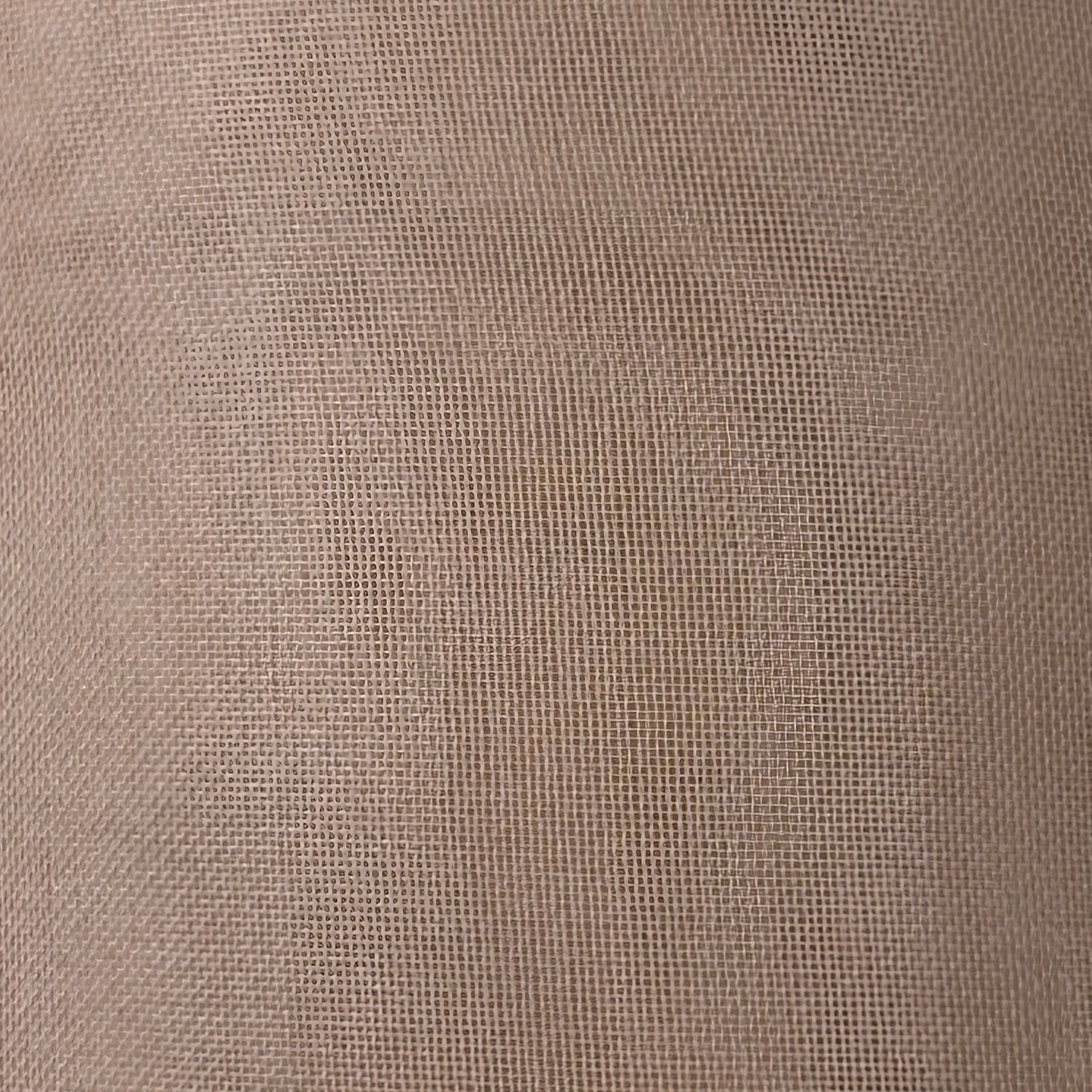 Silk Organza X111