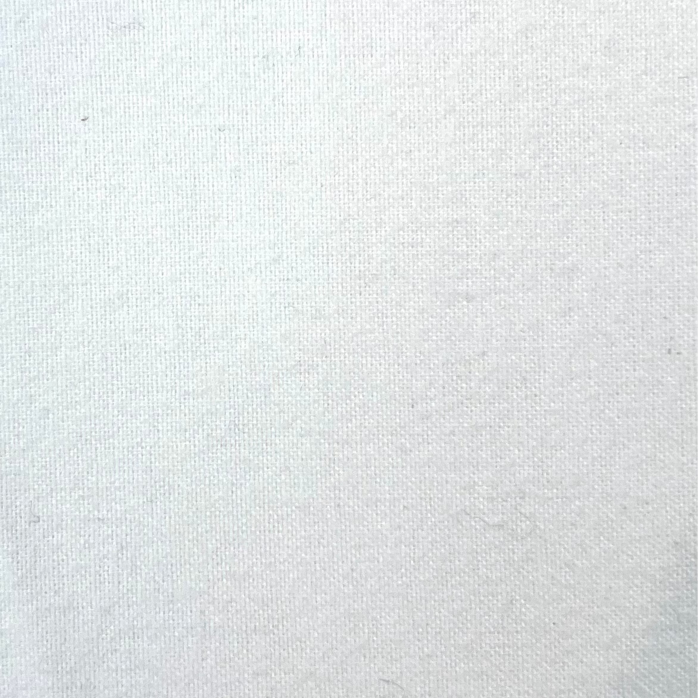 Solid White Brushed 100% Cotton Fabric | PH109 7618