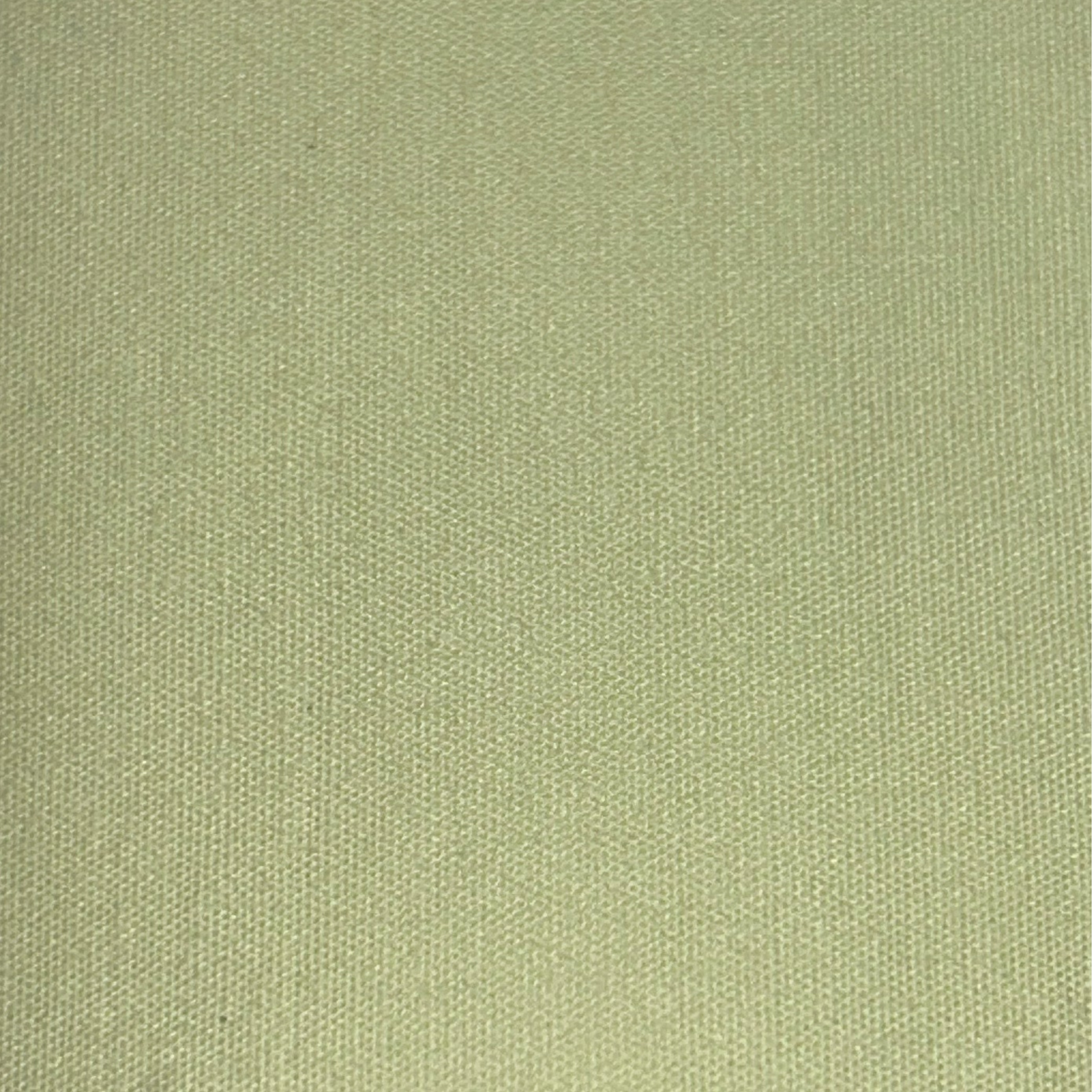 Cotton Poplin AE009 AI/20921