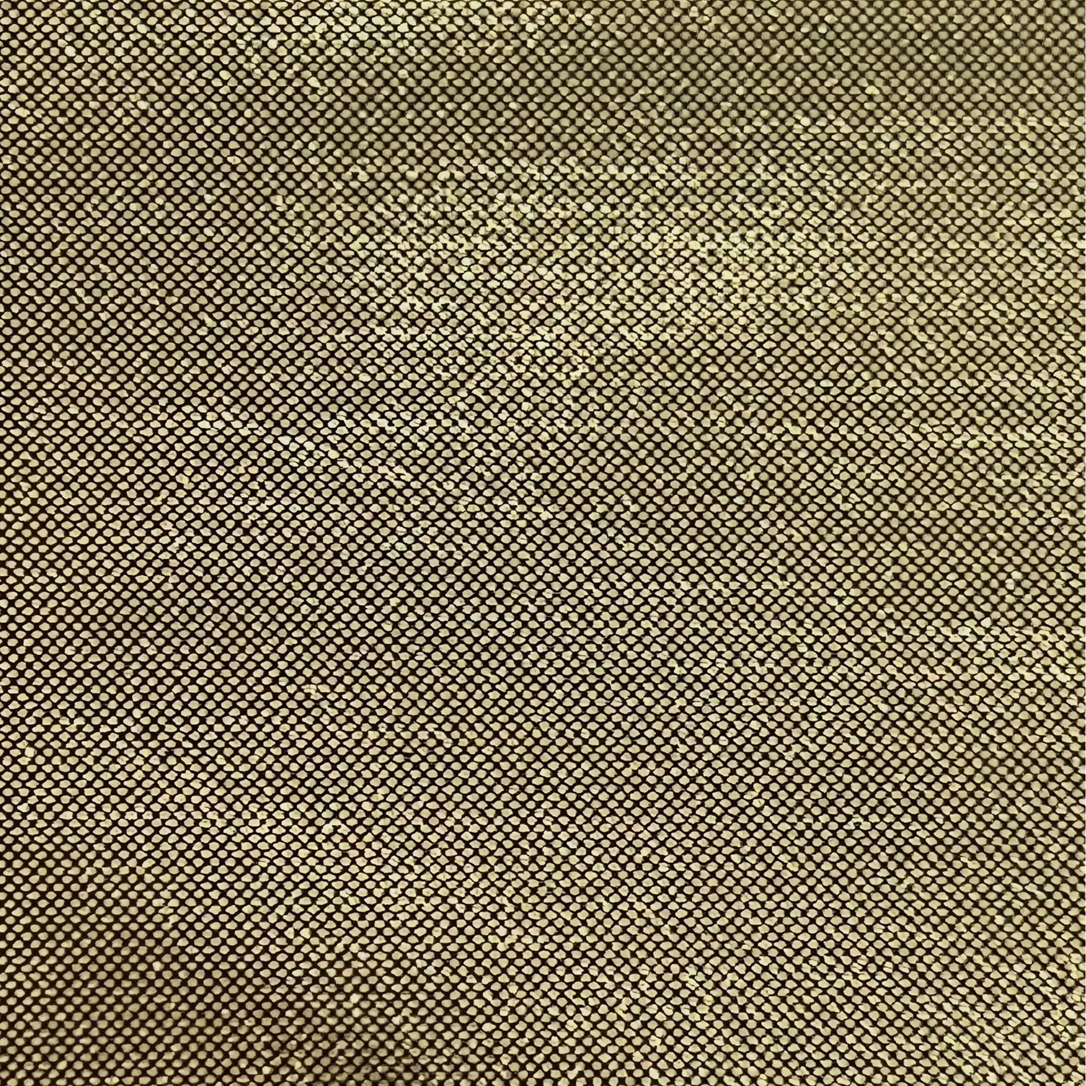 Polyester Foiled Lamé NB064 09529