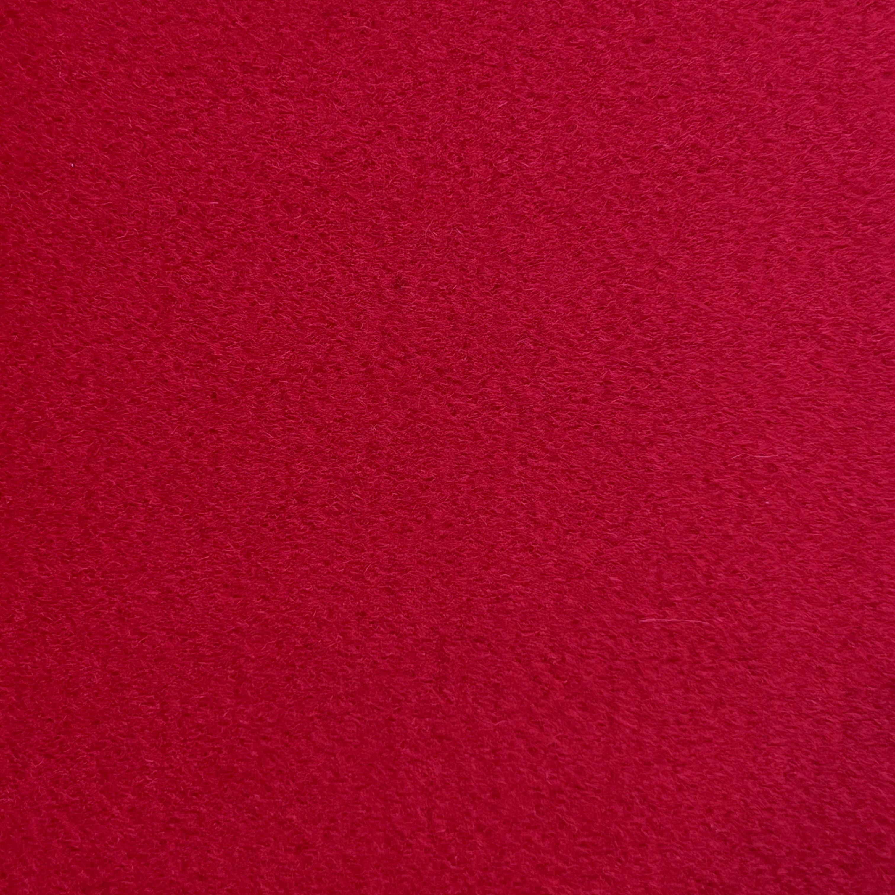 Luxurious Coating Fabric X229