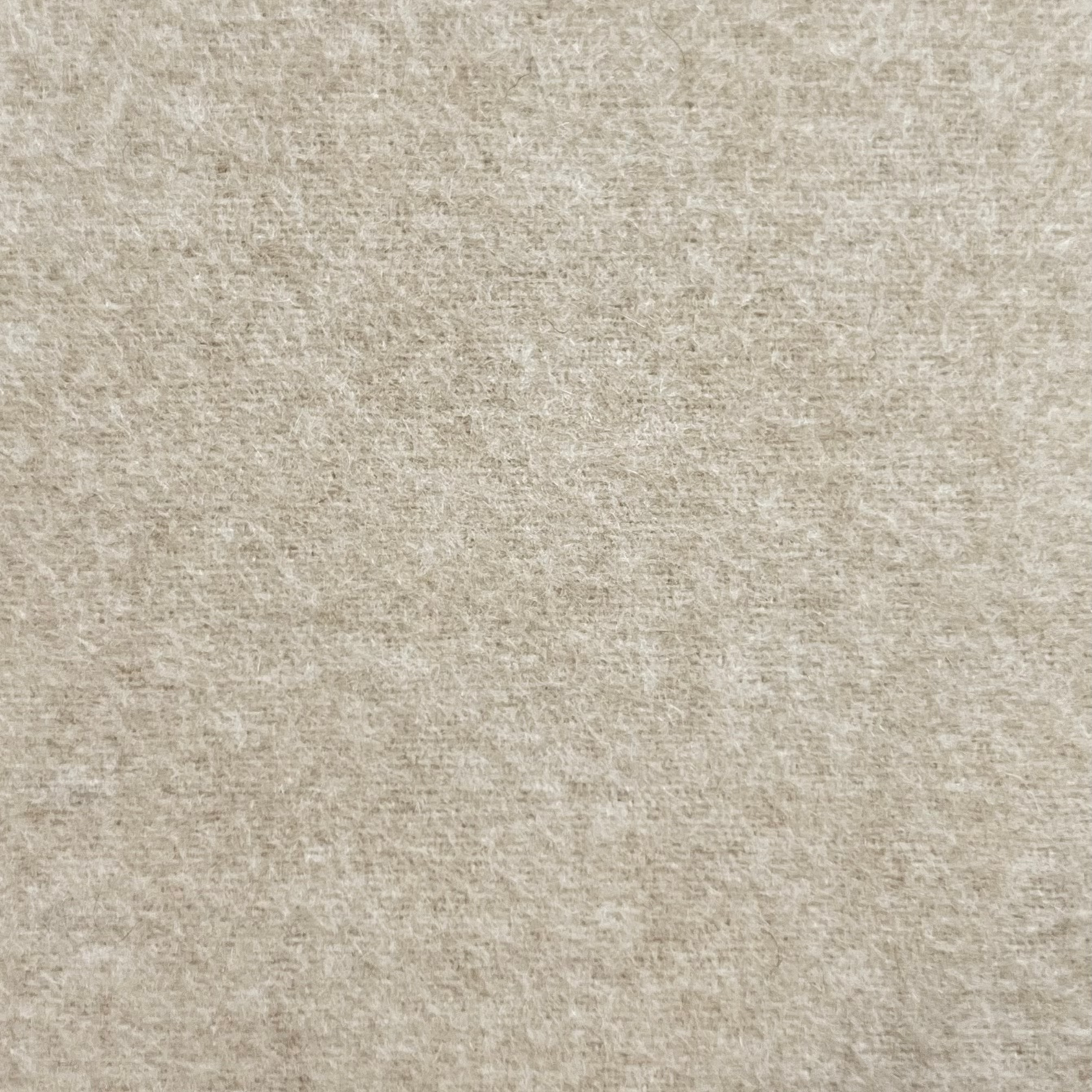 Luxurious Coating Fabric X230