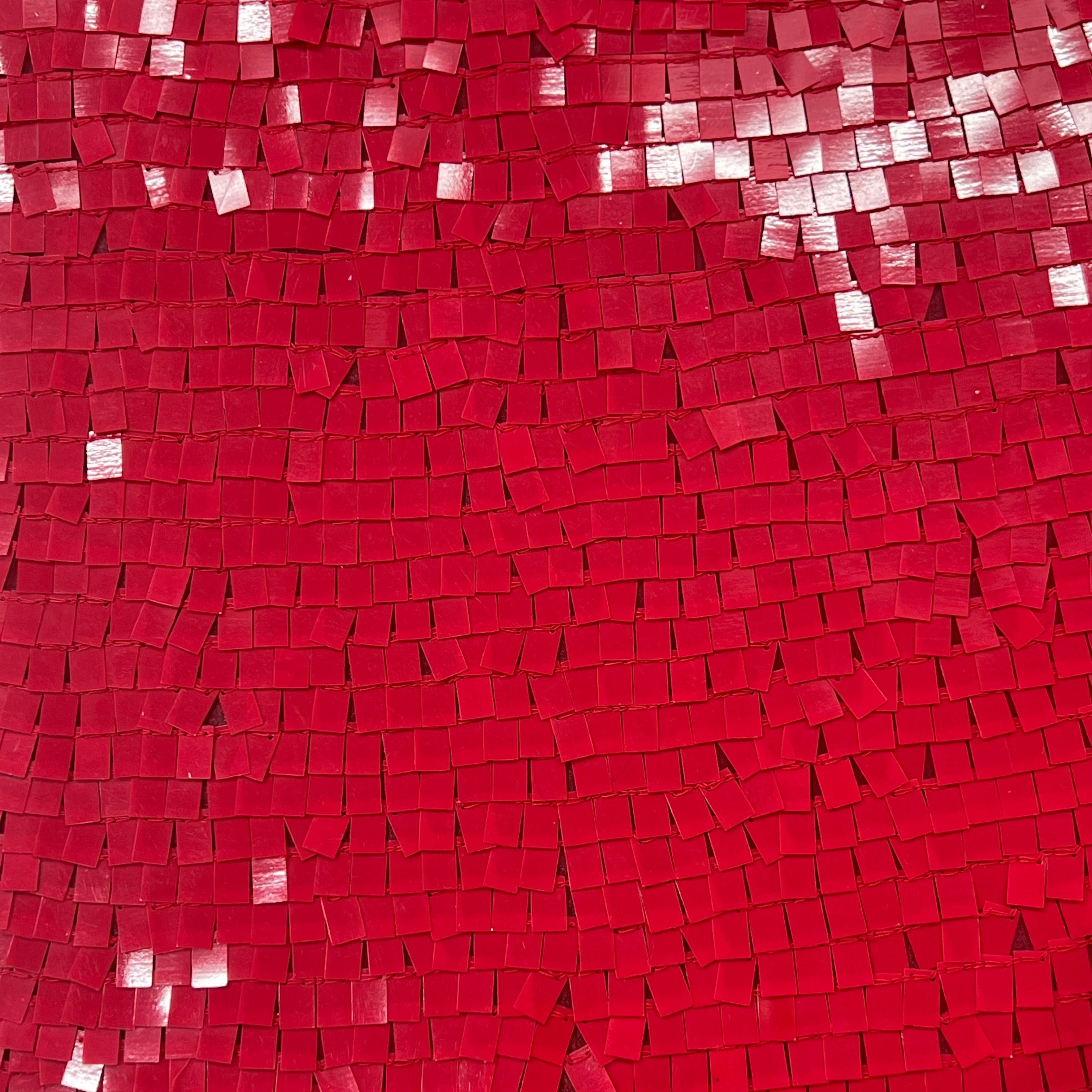 Rectangle Sequins Fabric AE024 AI/E/48196